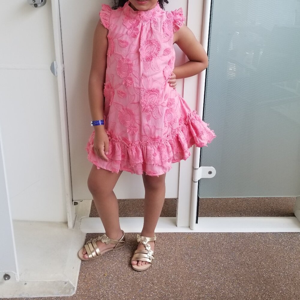 Janie and Jack Pink Floral Embroidered Ruffle Tiered Dress size 5 (A5)